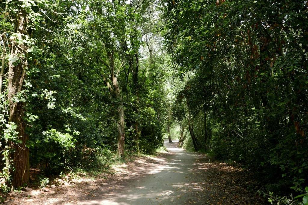 Villa Situee Entre Mer Et Foret Grand-Village-Plage Εξωτερικό φωτογραφία